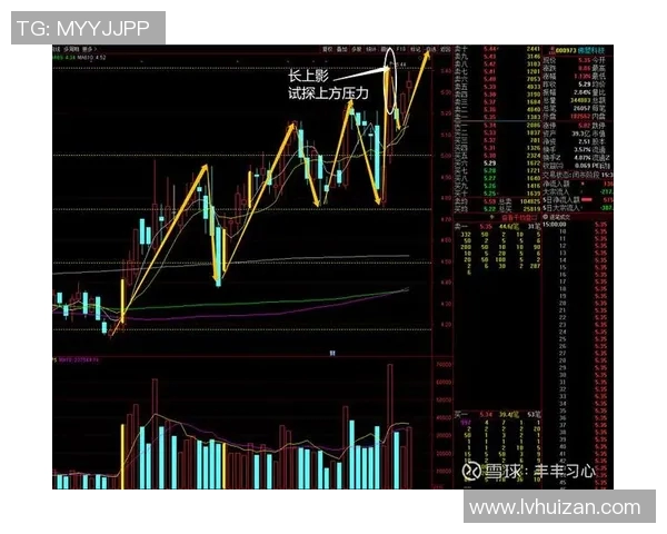 重庆羽毛球队与南京羽毛球队赛后复盘分析比赛节奏与战术对决