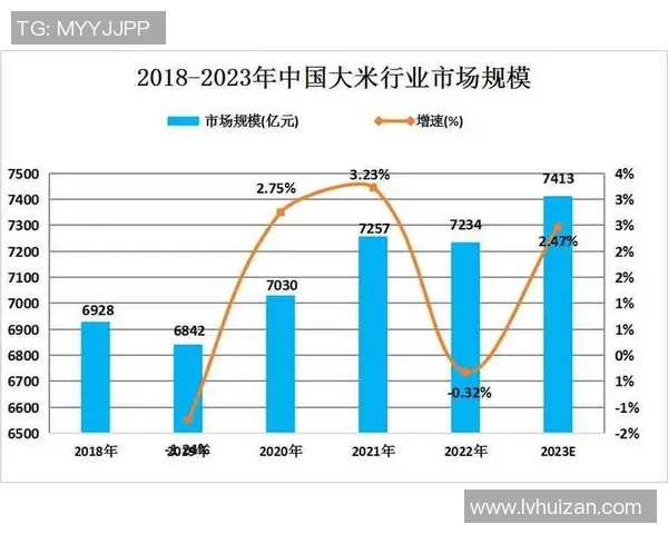 南京排球队转换战术的得失分析与未来展望 南京排球队转换战术的得失分析与未来展望